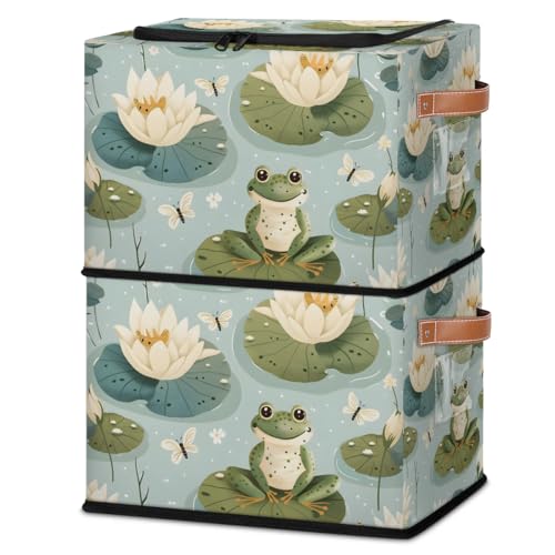 Frogs Waterlily