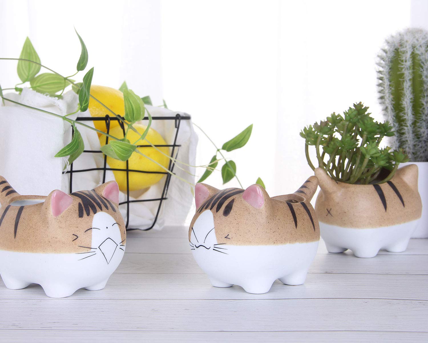 VanEnjoy 4.7 Inch Large Cat Succulent Planter - Ceramic Flower Pot with Drainage Hole, Handmade Cat Lover Gift for Office Desk, Home Decor & Garden Planting