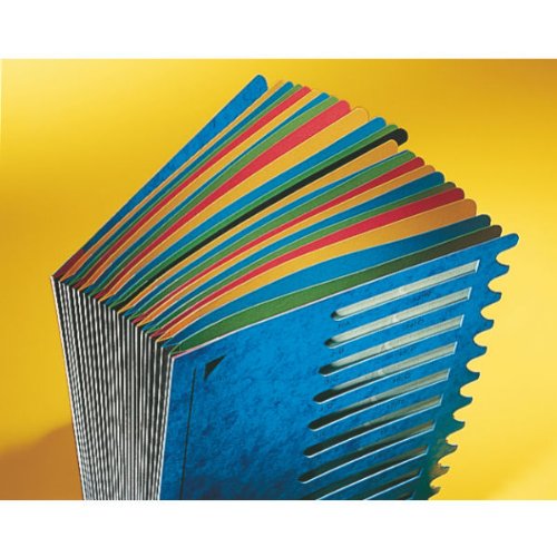 Leitz 59140095 A4 Black Desk Organizer with 24 Dividers - Perfect for Office, Home & School Stationery Storage