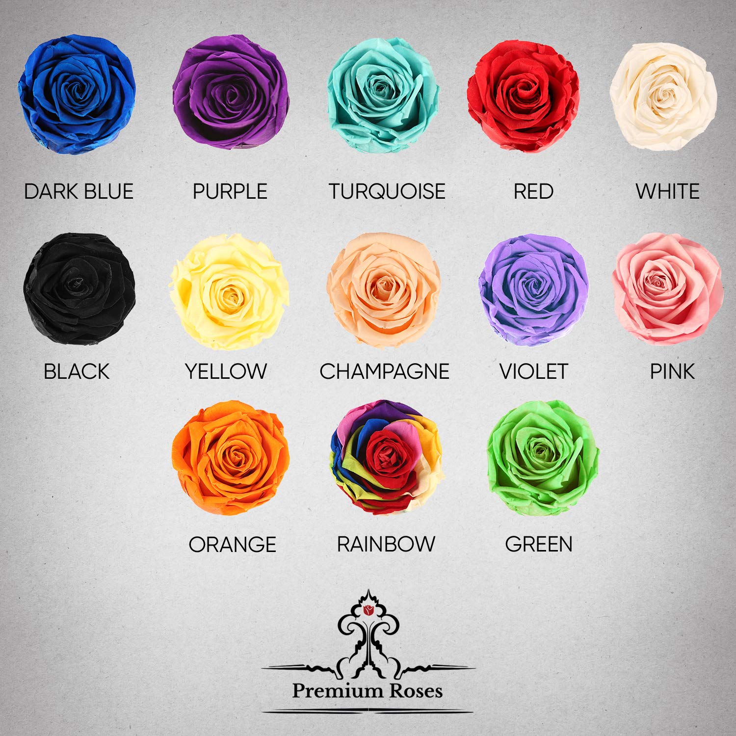 Premium Preserved Roses in Gift Box - Long Lasting Real Flowers for Anniversary, Wedding, Valentine's Day - Red & Black Burgundy Roses for Home Decor, Romantic Gifts and Special Occasions