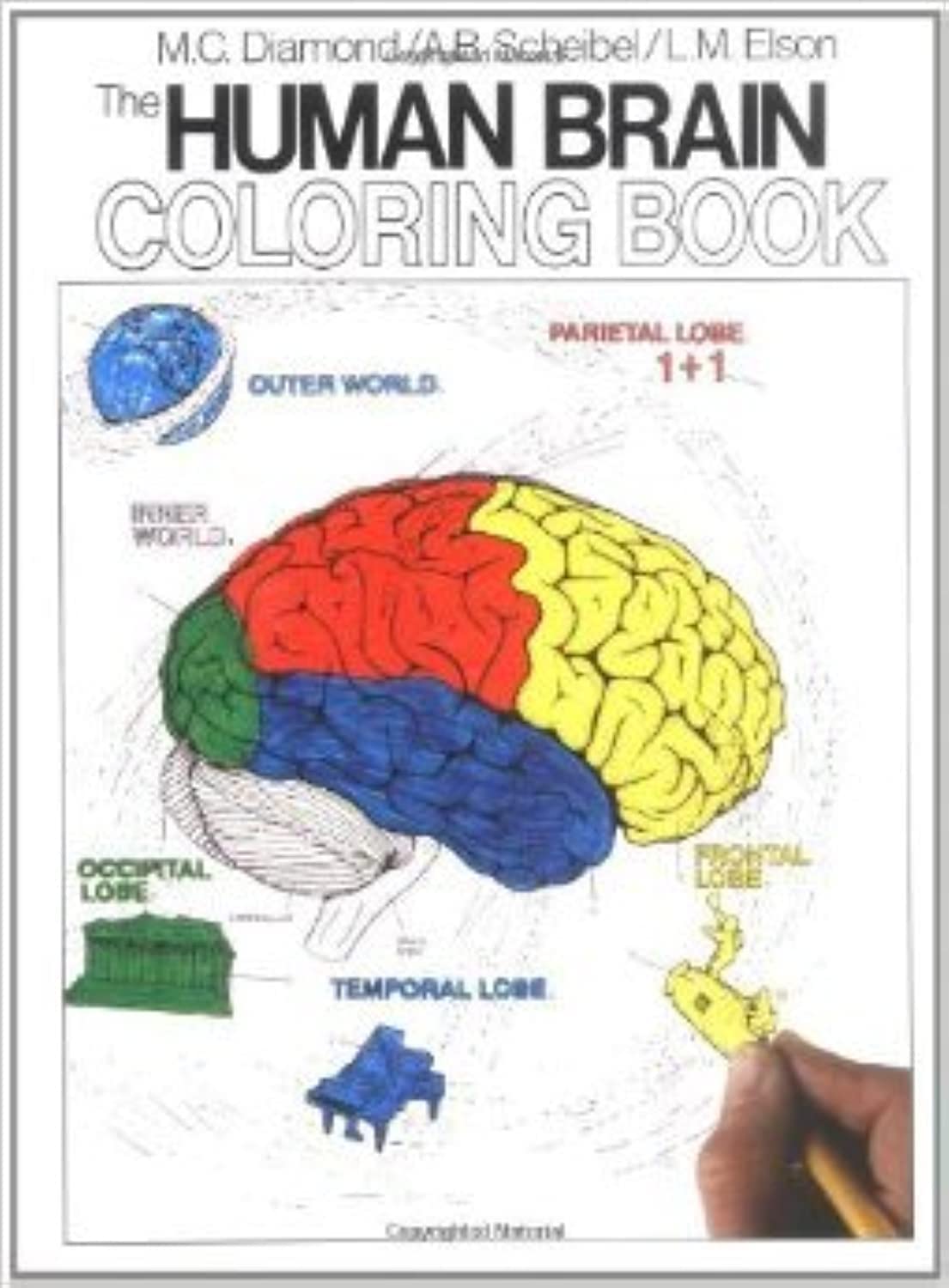 The Human Brain Coloring Book - Anatomy Educational Coloring Book for Adults & Students | Perfect for Neuroscience Study, Stress Relief & Creative Learning