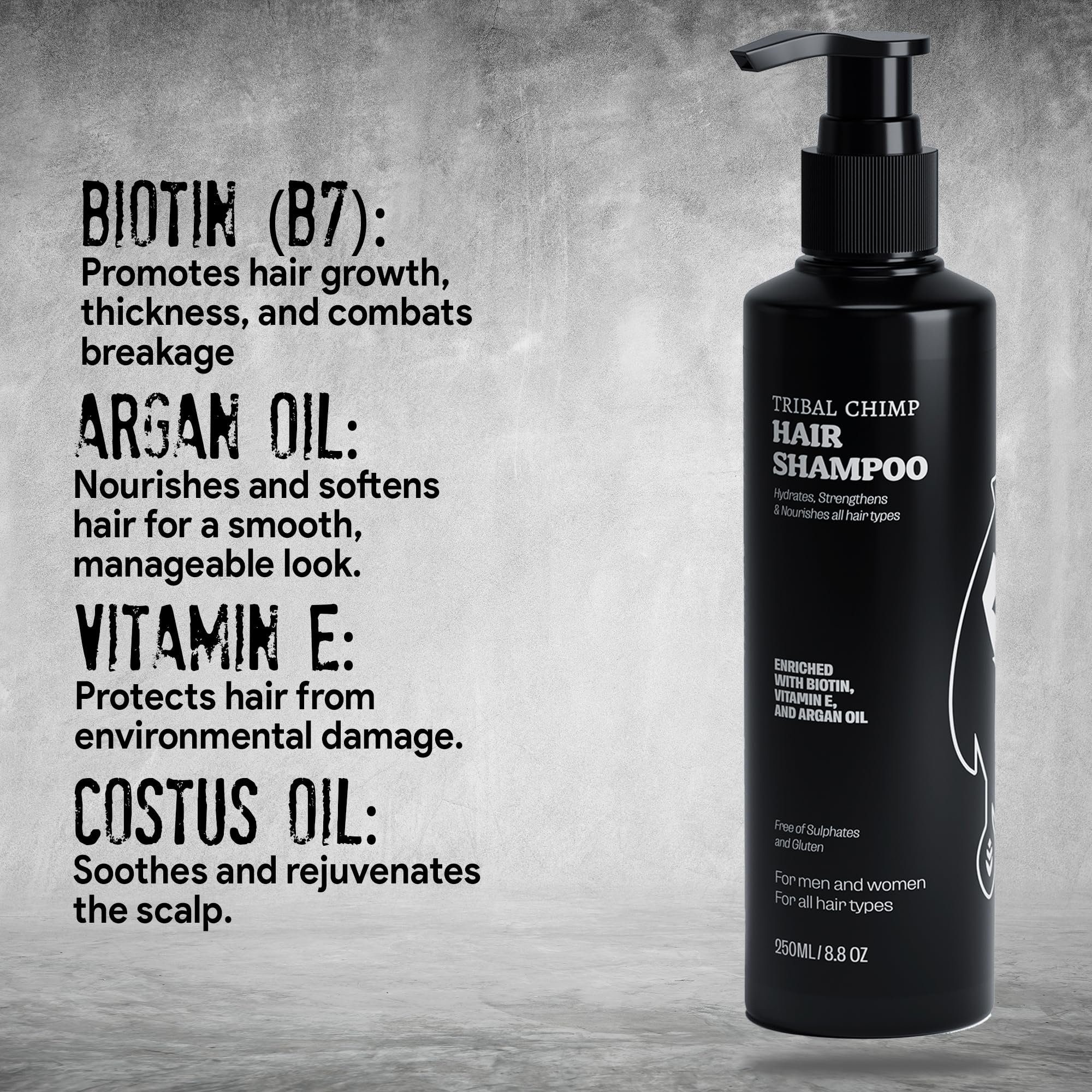 Premium Hair Care Kit - Moisturizing Shampoo (8.5oz) & Conditioner (8.5oz) Set for Dry & Damaged Hair - Sulfate Free & Paraben Free - Salon Quality Treatment for Women & Men - Perfect for Daily Use & Travel