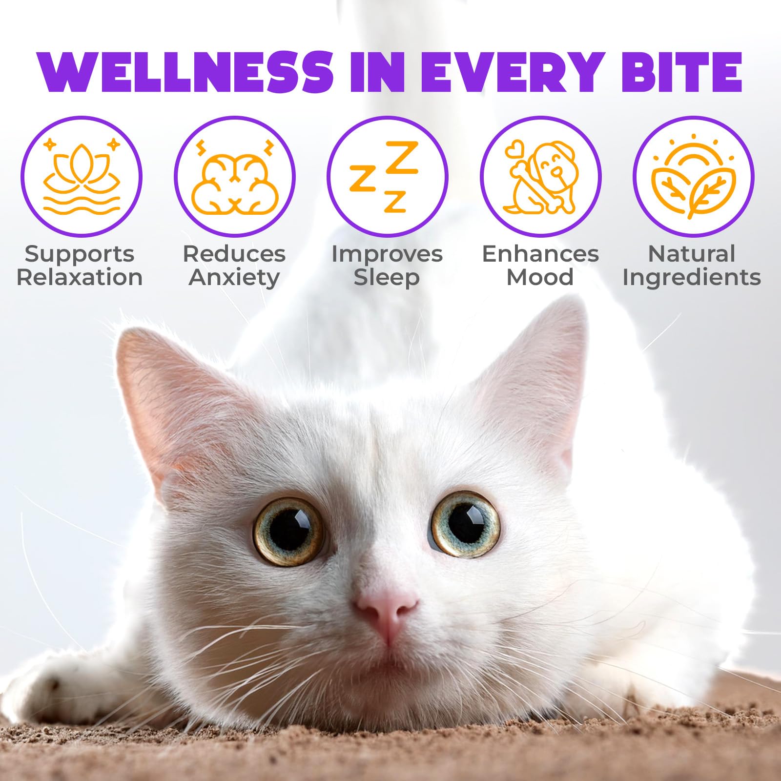 Organic Hemp Calming Chews for Cats - 200 Count Natural Anxiety Relief Treats with Melatonin - Stress, Travel, Vet Visits & Grooming Support - Soothing Cat Calming Snacks for Nervous Pets - Perfect for Multi-Cat Households & Anxious Felines