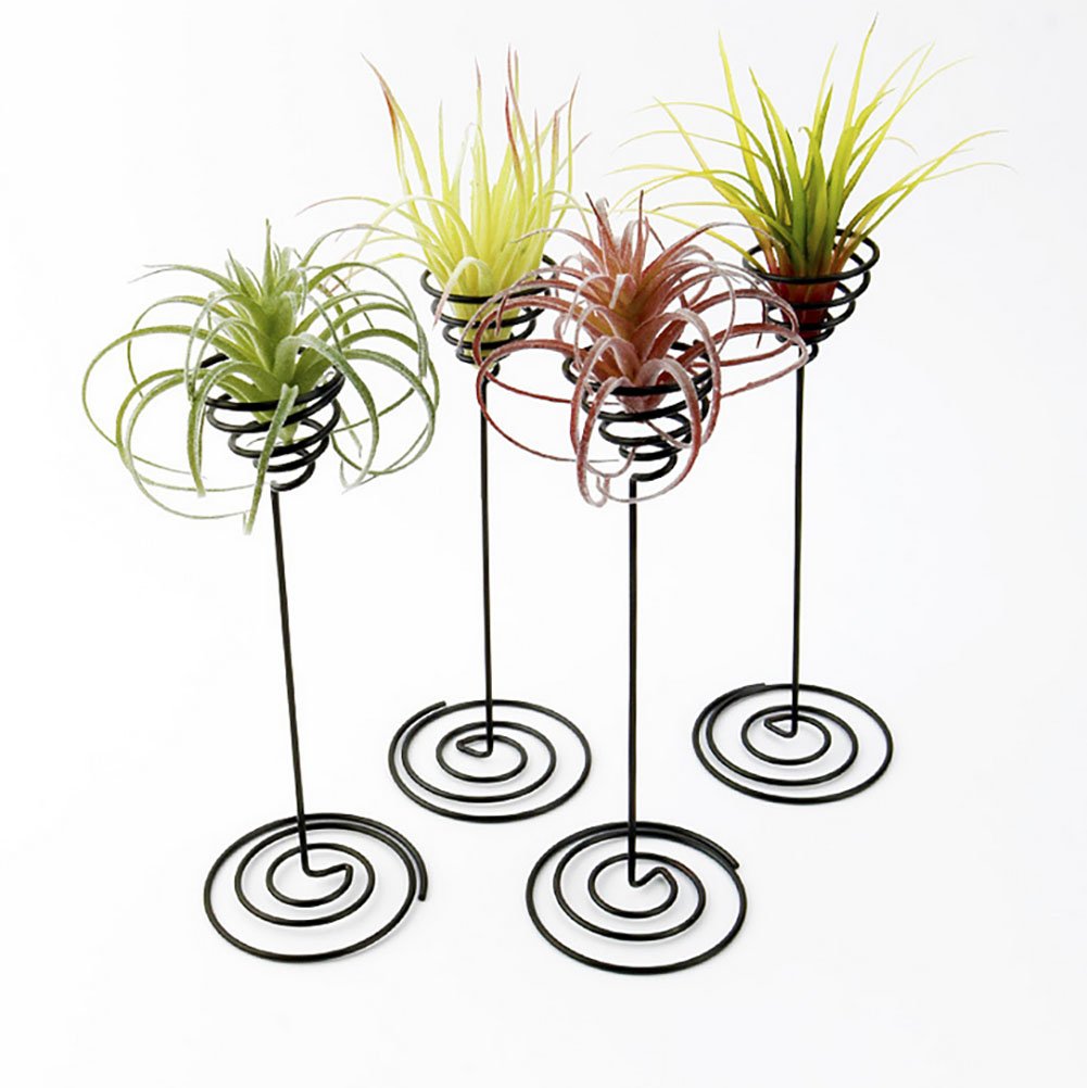 Air Plant Stand Holder - 2 Pack Tabletop Planter Base for Tillandsia | Modern Home & Office Decor | Perfect for Desks, Shelves & Gift Giving