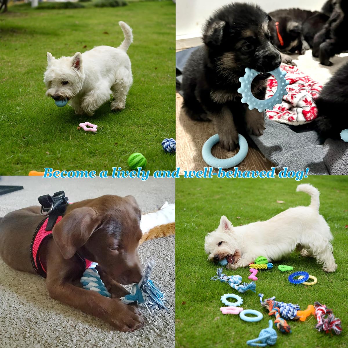 20 Pack Puppy Toys Set - Durable Chew Toys for Teething Puppies, Interactive Dog Toys for Small Breeds - Tough Rope & Soft Rubber Chew Toys Bundle for Puppy Training | Great for Indoor Play, Outdoor Fetch & Dental Health
