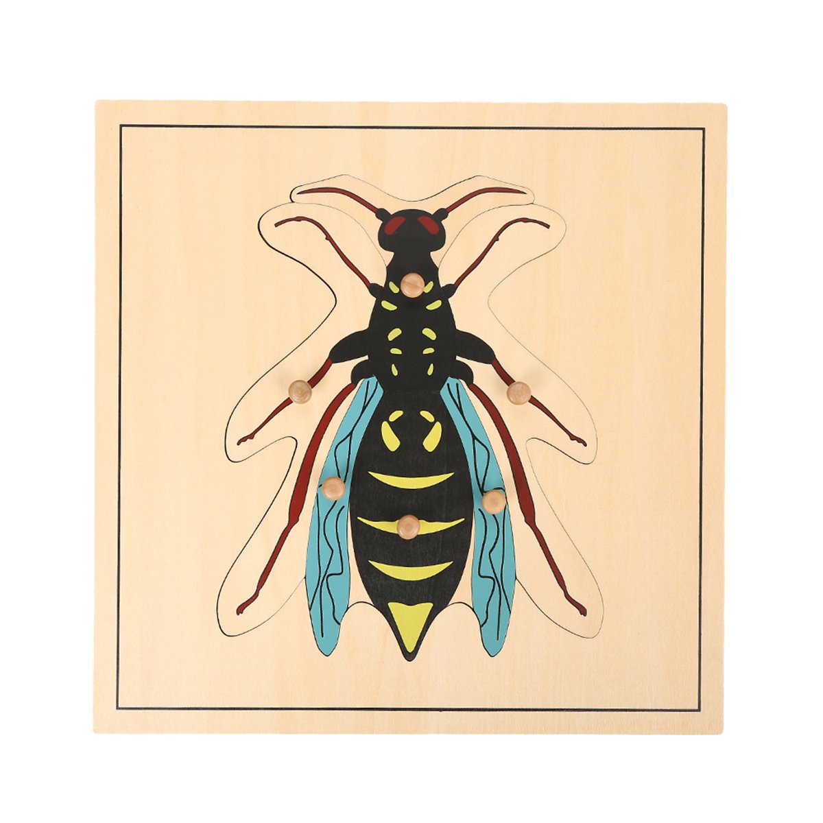 MEYOR Montessori Wooden Wasp Puzzle - Educational Learning Toy for Kids | STEM Early Childhood Development | Perfect for Homeschooling & Classroom Activities