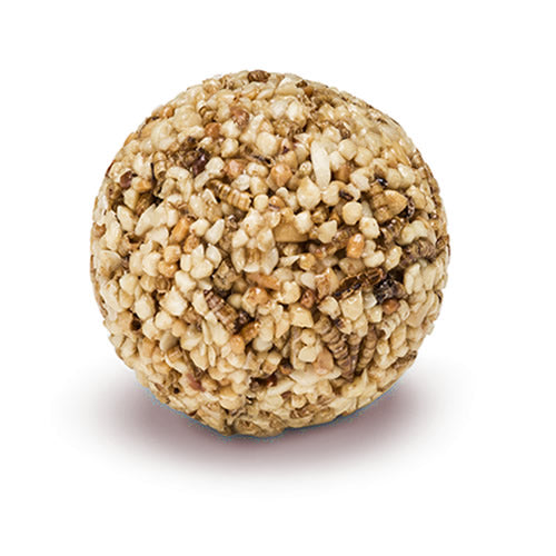 Duncraft Peanut Bits & Mealworms Wild Bird Seed Balls - High Protein Bird Food for Wild Birds, Attracts Cardinals & Bluebirds - Perfect for Backyard Bird Feeders & Garden Bird Watching