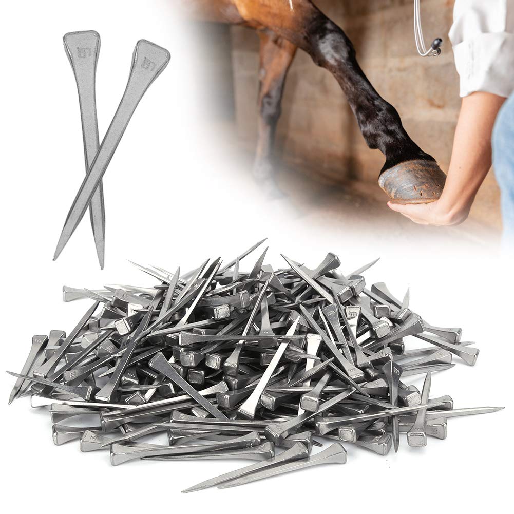 Mokernali 250 Pcs Stainless Steel Horseshoe Nails - 2 Inch Sharp Bevel E5 Horseshoe Nails for Horse Training, Equestrian Sports & Farrier Tools - Perfect for Horse Hoof Care, Blacksmithing & Stable Maintenance