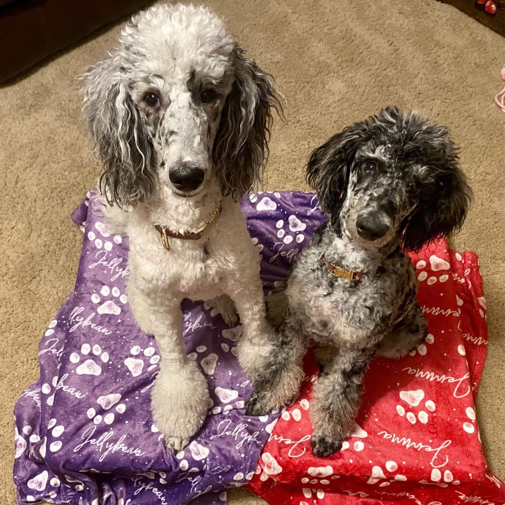Custom Full Color Personalized Dog Blanket - Soft Pet Blanket for Crate, Bed & Travel - Perfect Gift for Dog Lovers