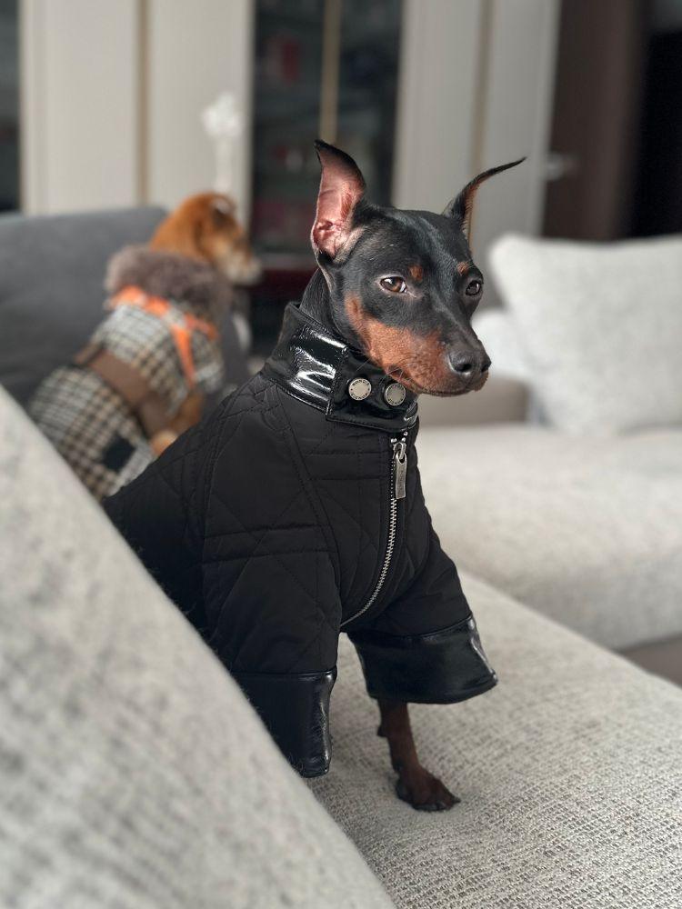 Quilted Puffer Jacket for Women & Men - Lightweight Warm Winter Coat with Stylish Shadow Stitch Design - Perfect for Outdoor Activities, Travel & Casual Wear