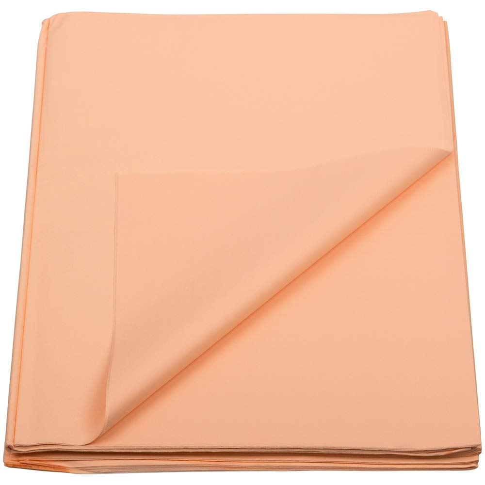 JAM PAPER Peach Tissue Paper - 480 Sheets per Ream - Perfect for Gift Wrapping, Party Decorations & Craft Projects