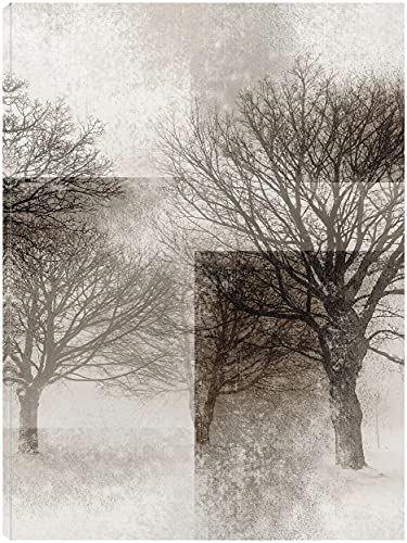 Oaks in Overlay II