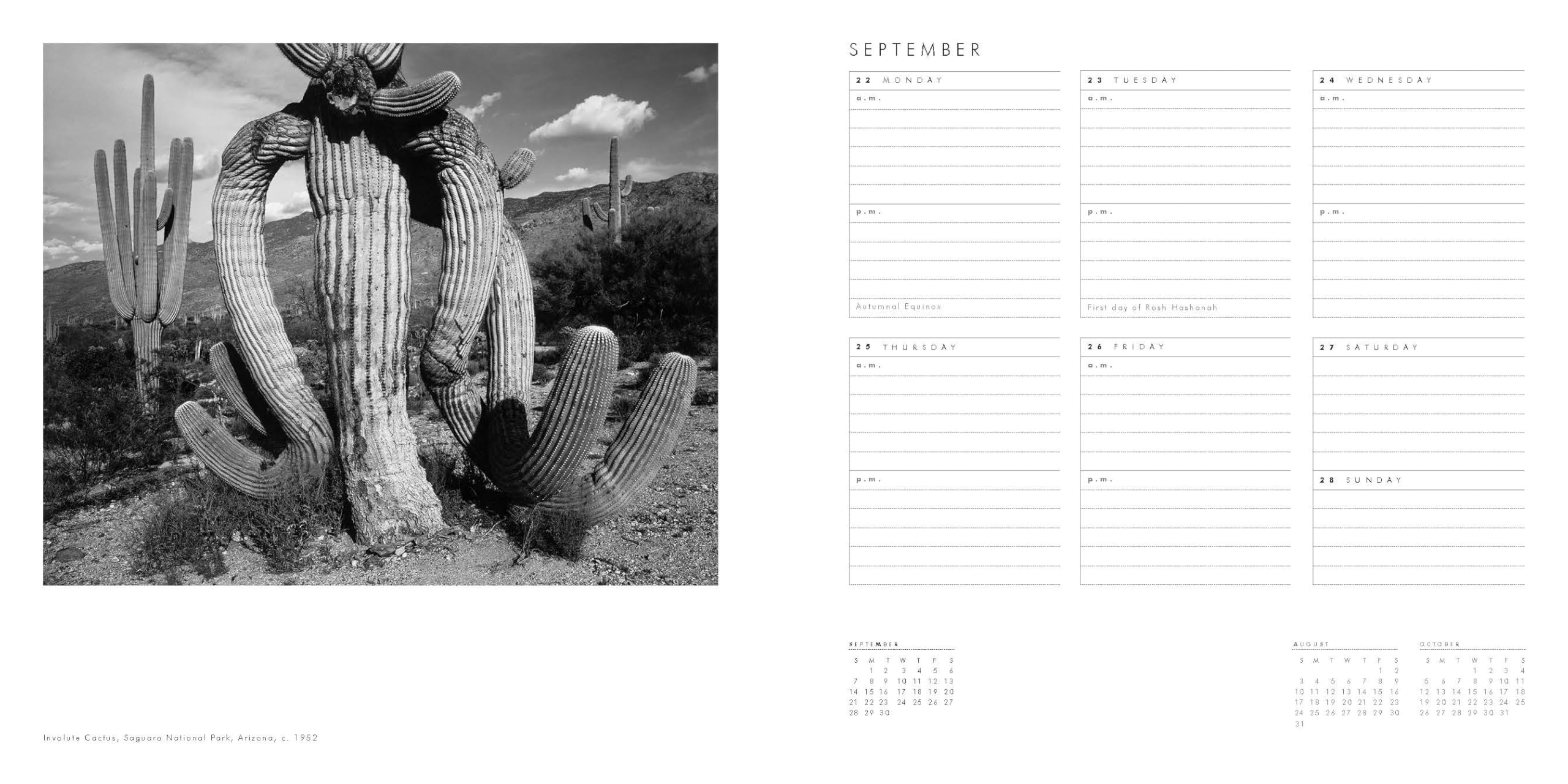 Ansel Adams 2025 Engagement Calendar - Official 12-Month Weekly Planner with Nature Photography | Perfect for Office, Home & Gift Giving