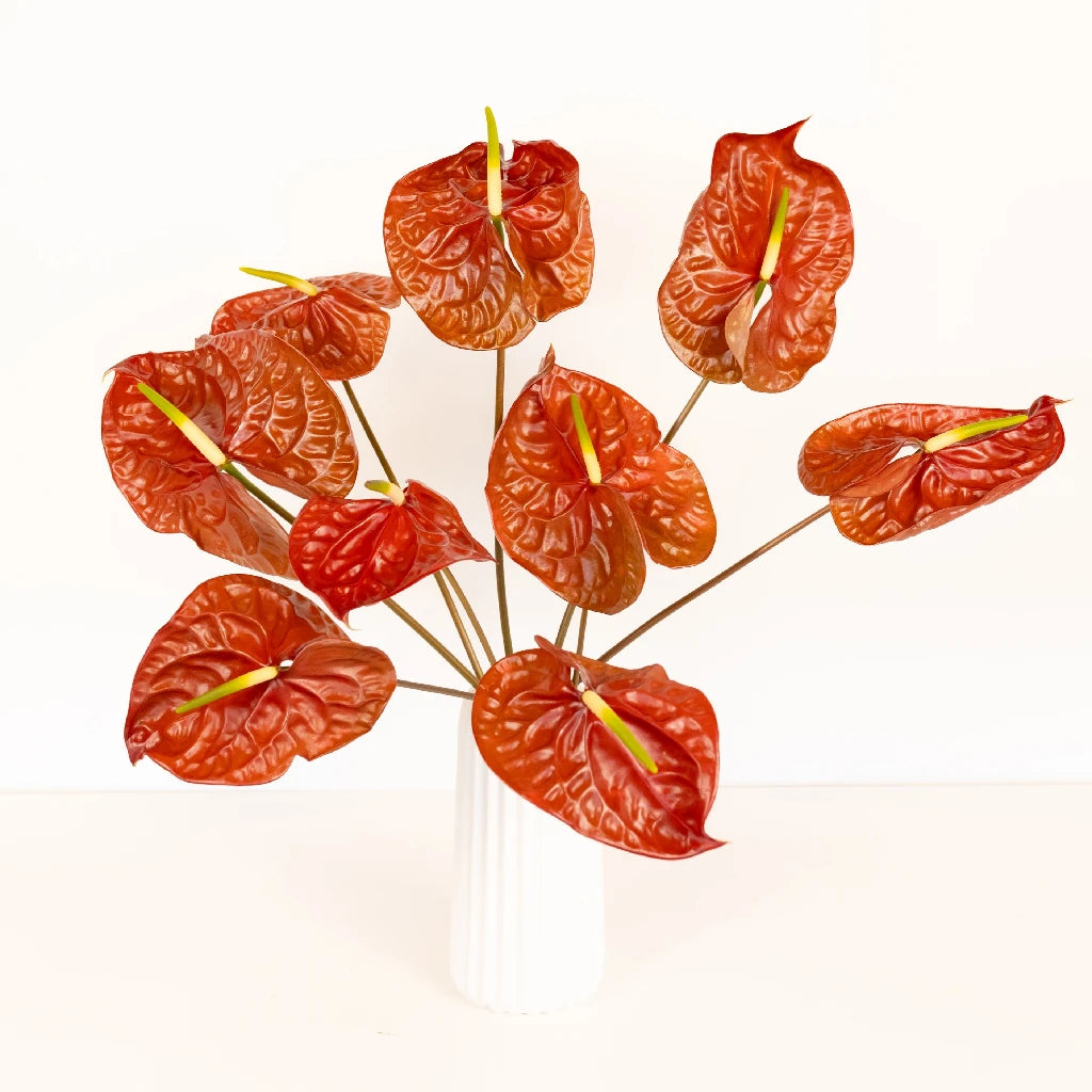 Anthurium Cocoa Tropical Flower - Exotic Live Houseplant for Home & Office Decor - Perfect for Indoor Gardens, Gifts, and Tropical Themes