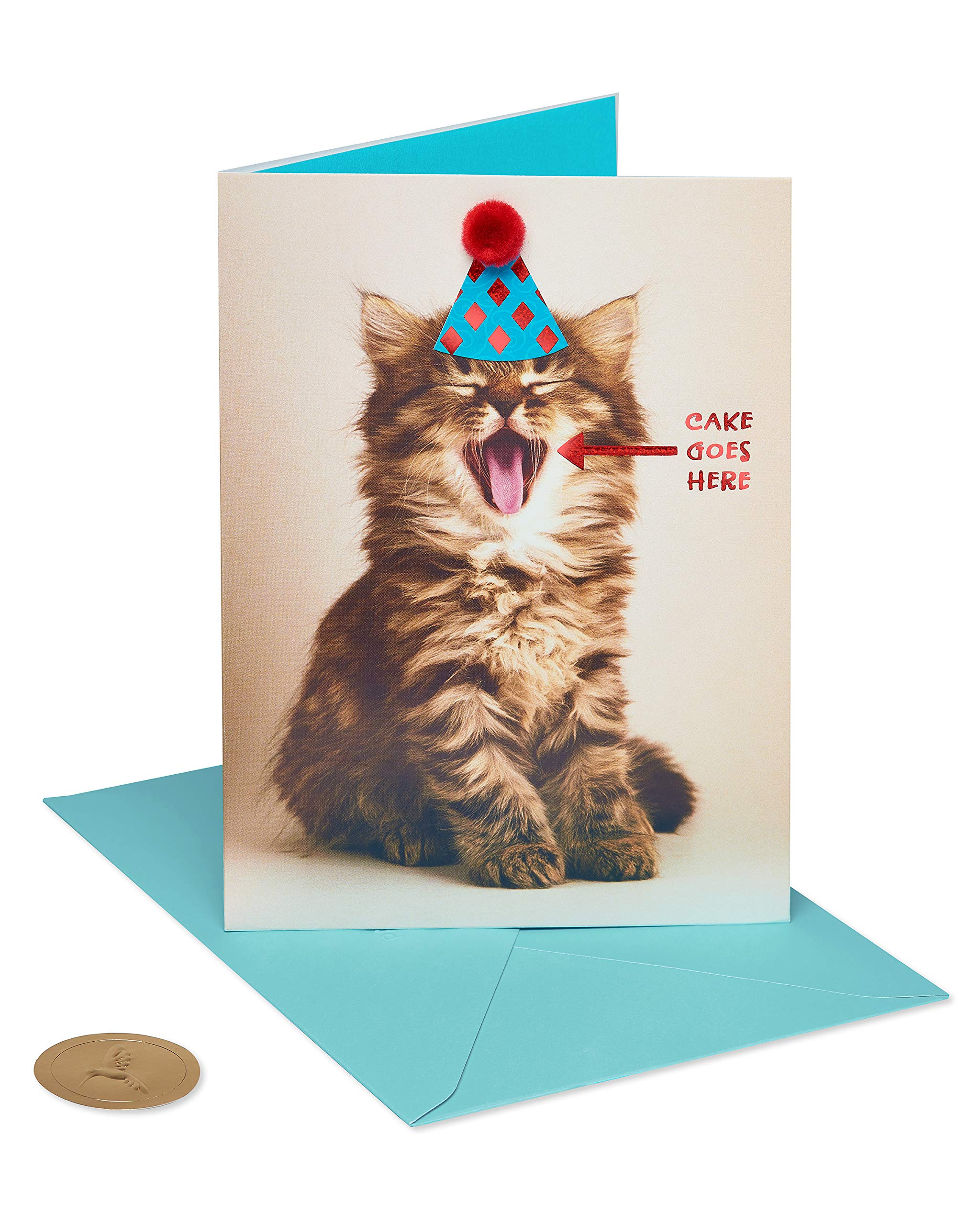 Funny Cat Birthday Card for Cat Lovers - Papyrus Premium Greeting Card - Perfect for Birthdays, Parties & Special Occasions