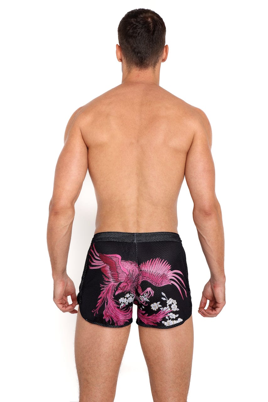 Phoenix Men's Breathable Mesh Running Shorts - Lightweight Quick-Dry Athletic Shorts for Gym, Workout & Outdoor Sports