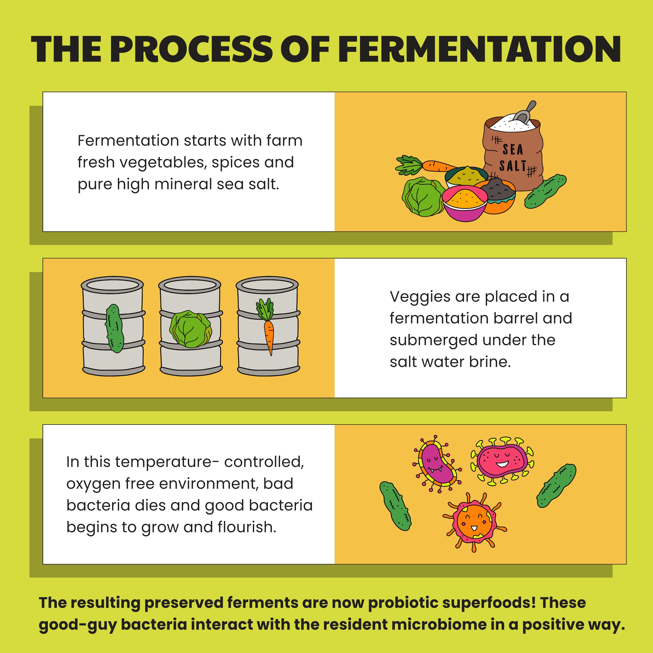 Fermented Sauerkraut 48oz - Probiotic Red & Ginger for Gut Health | Perfect for Sandwiches & Asian Dishes