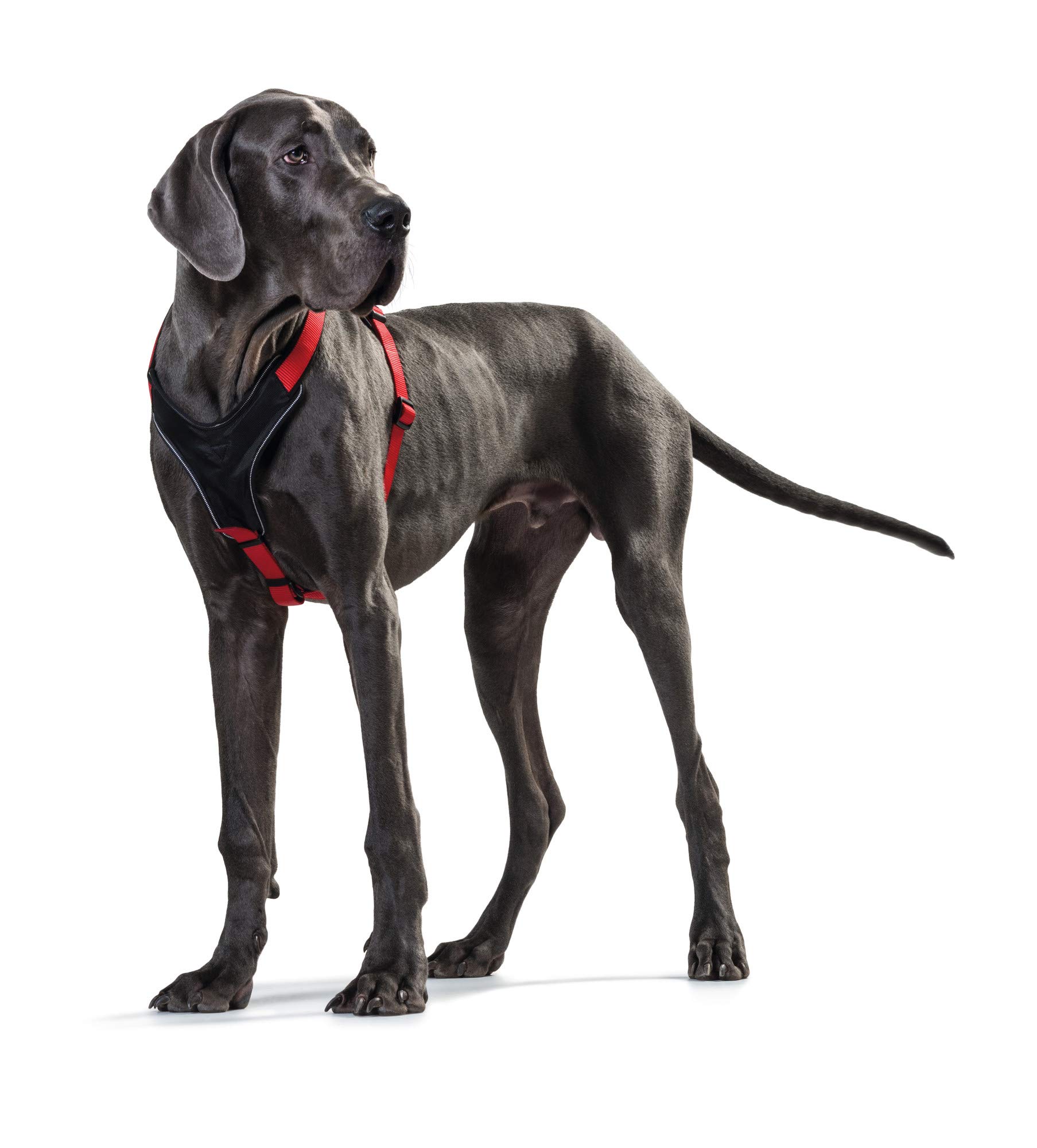 HUNTER Neoprene Dog Harness for Medium Dogs - Adjustable & Comfortable Red/Black Pet Vest - Perfect for Walking, Hiking & Outdoor Adventures