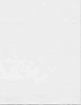 Plymor 14x18 Inch 2 Mil Clear Plastic Bags (100 Pack) for Packaging & Storage