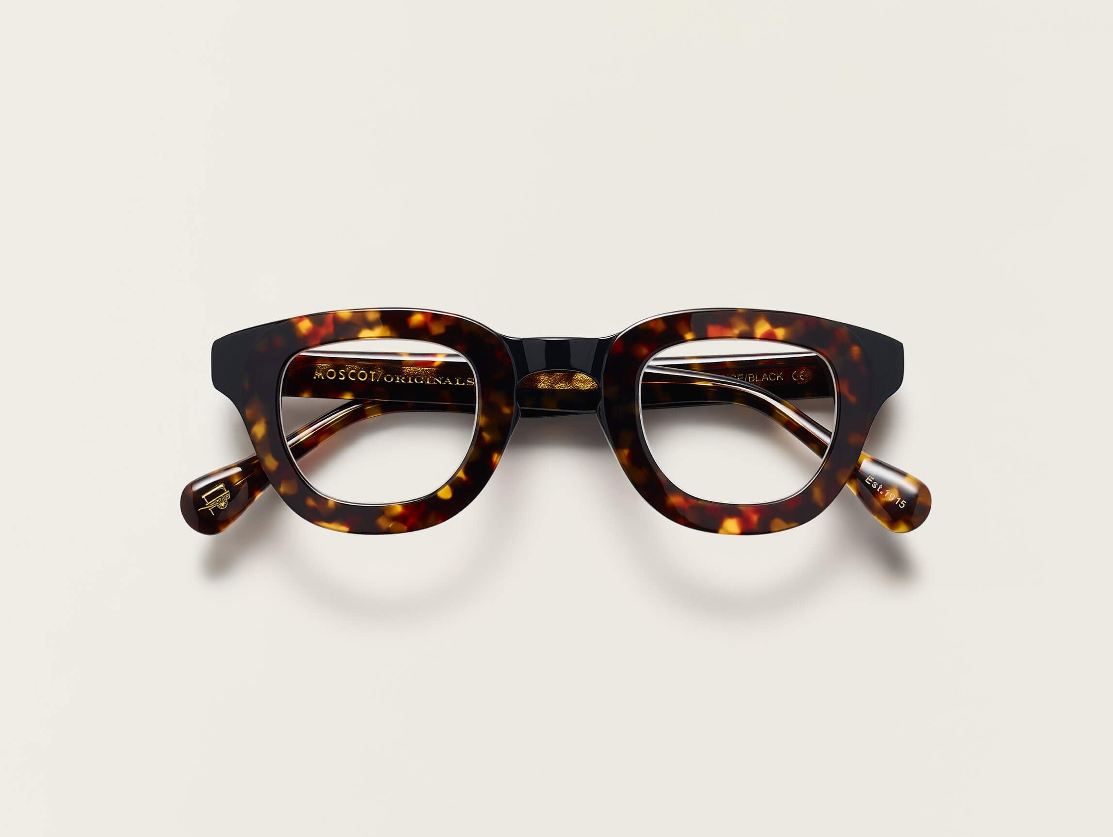 Tortoise/Black