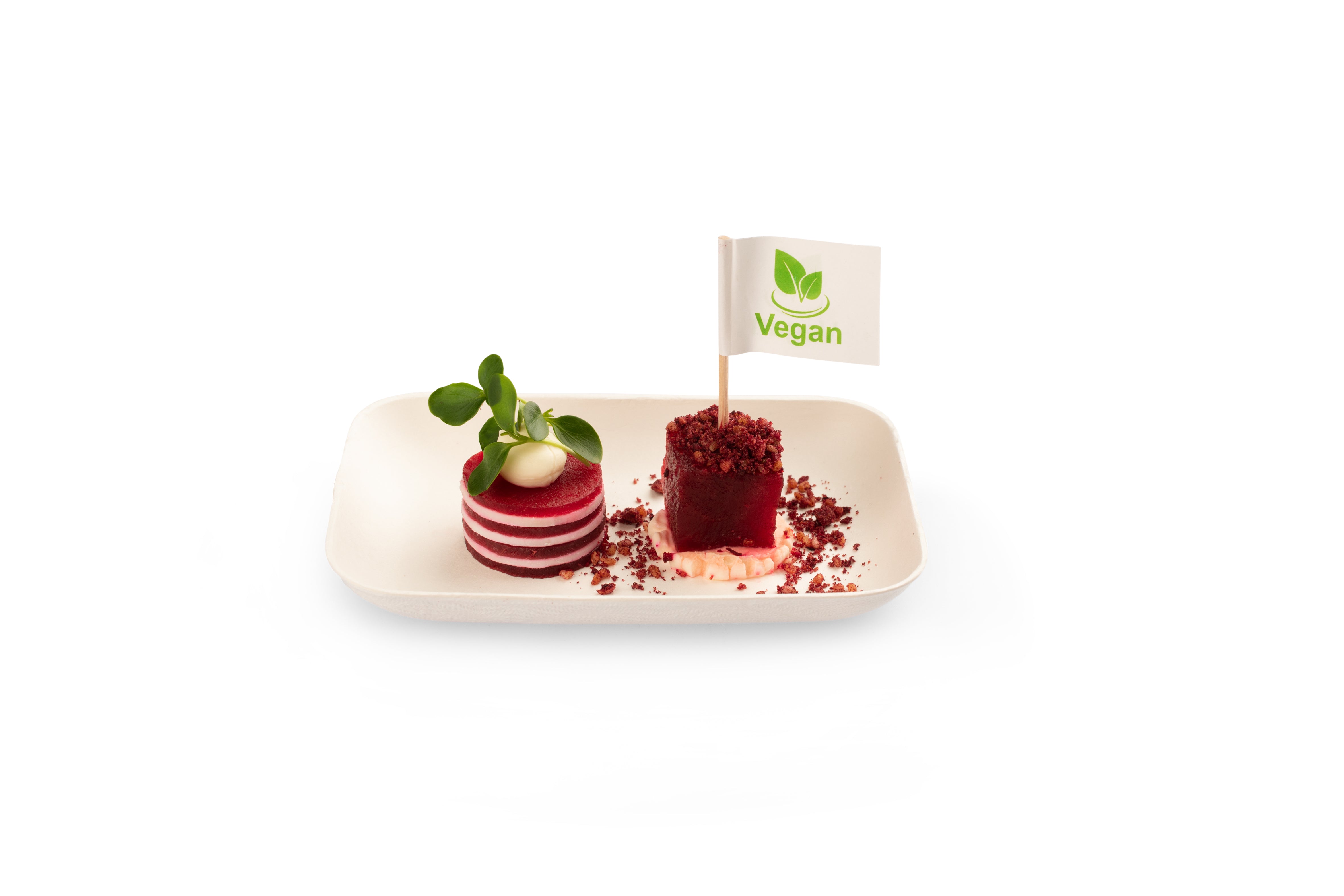 Bagastro Rectangular Plates - Elegant Dinnerware Set for Home & Restaurant Use - Perfect for Dining, Serving, and Special Occasions
