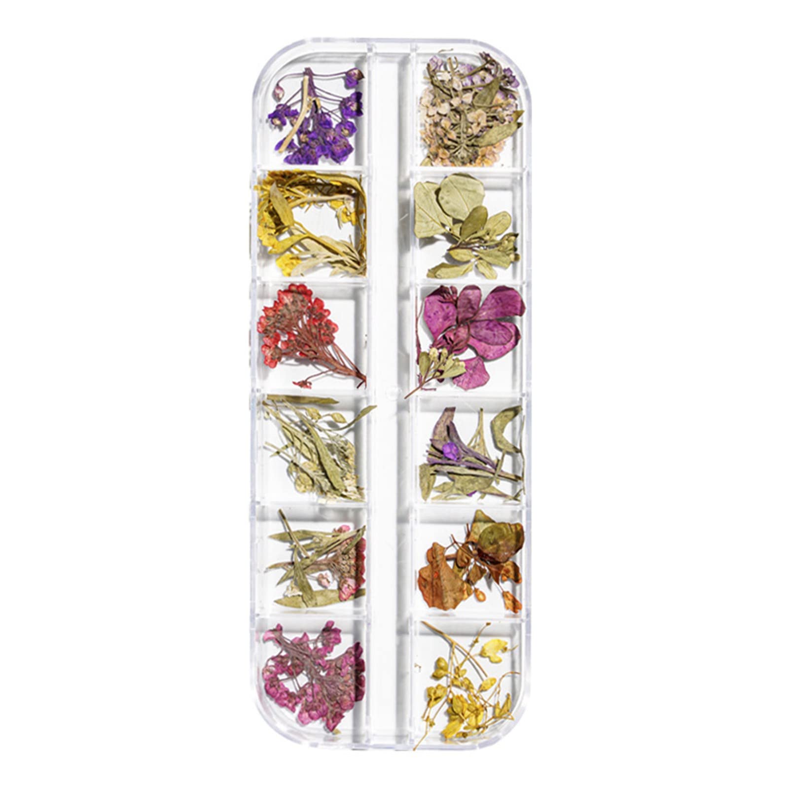 3D Nail Art Dried Flowers Decoration Stickers - Mini Dry Flowers for Manicure Tips, Nail Foil Applique & Nail Art Supplies (Size C) - Perfect for DIY Nail Designs, Bridal Manicures & Salon Nail Decorations