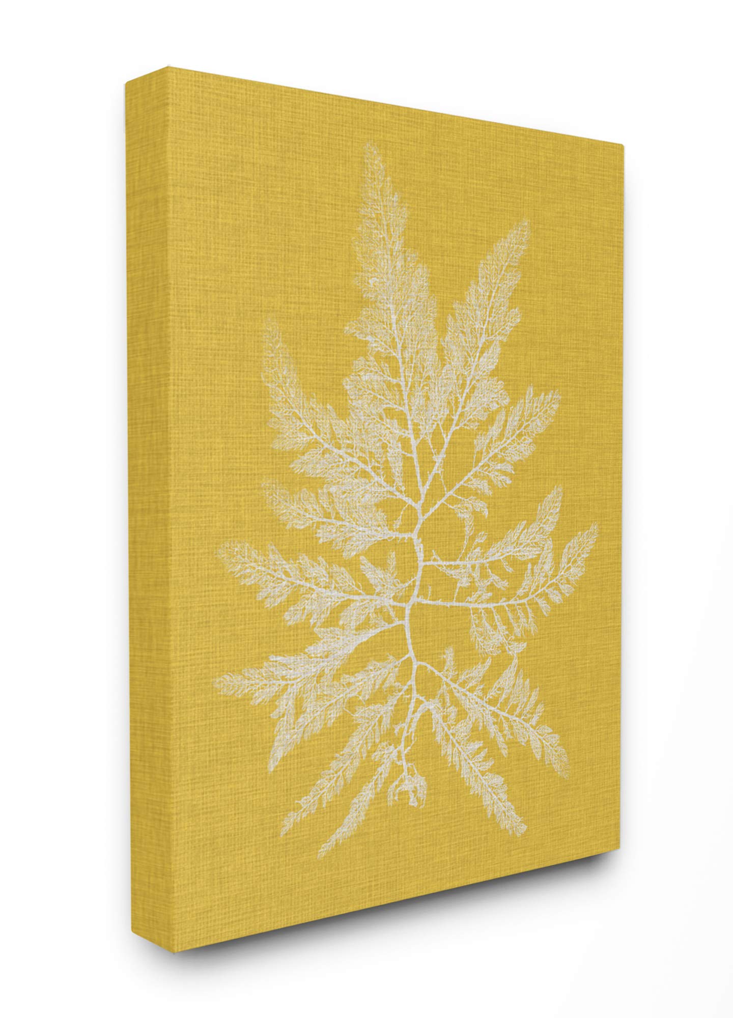 Stupell Industries Modern Wall Art Decor - Framed Canvas Prints for Living Room, Bedroom & Office - Home & Office Decorations