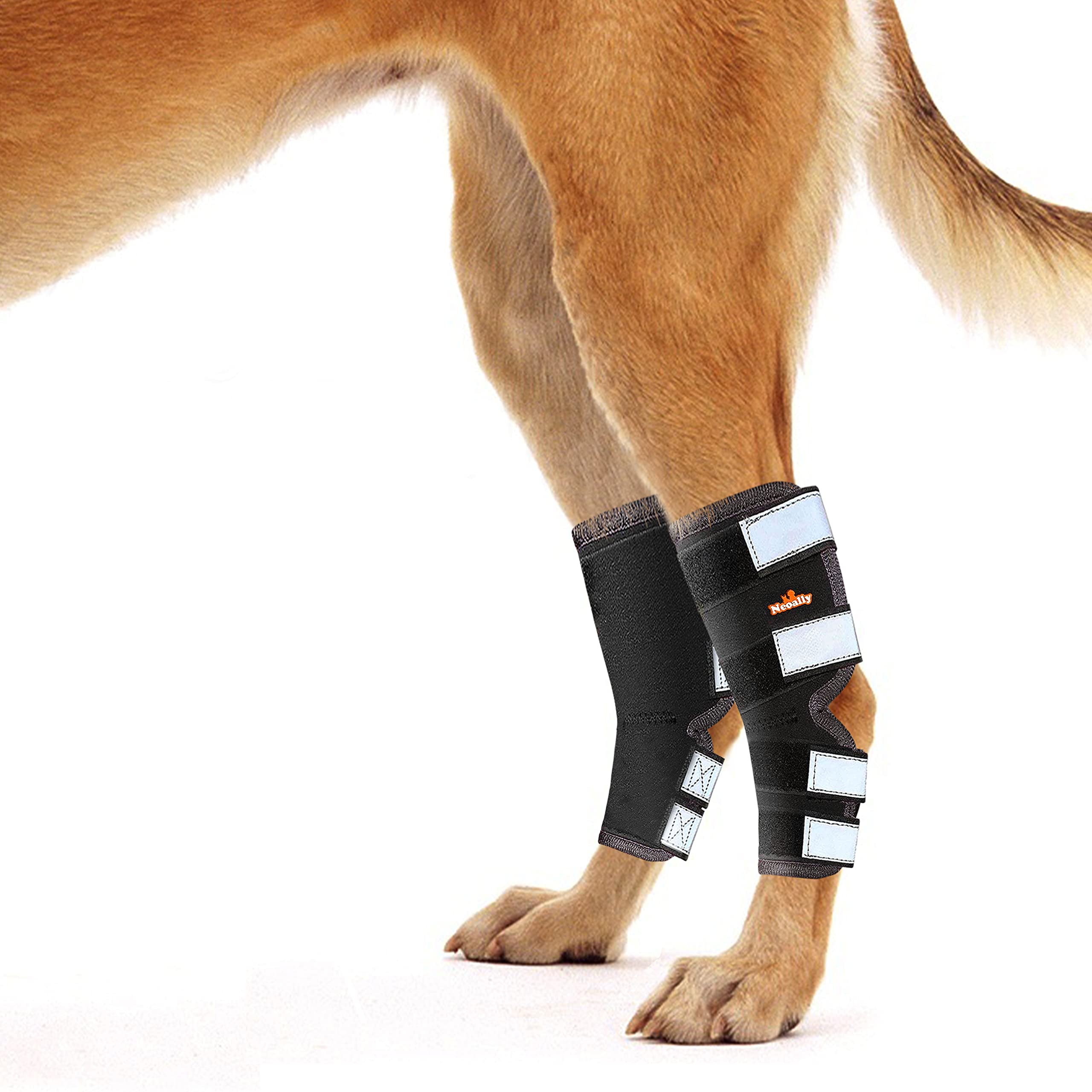NeoAlly® Dog Rear Leg Hock Brace - Support for Large Dogs with Torn ACL/CCL, Ankle & Joint Protection - Long Version Medium (1 Pair) - Ideal for Post-Surgery Recovery & Active Dogs