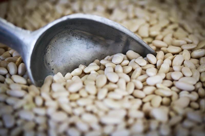 Premium Rancho Gordo Ayocote Blanco Beans - 1 lb | Organic White Runner Beans | High-Protein, Non-GMO | Perfect for Soups, Stews & Mexican Cuisine