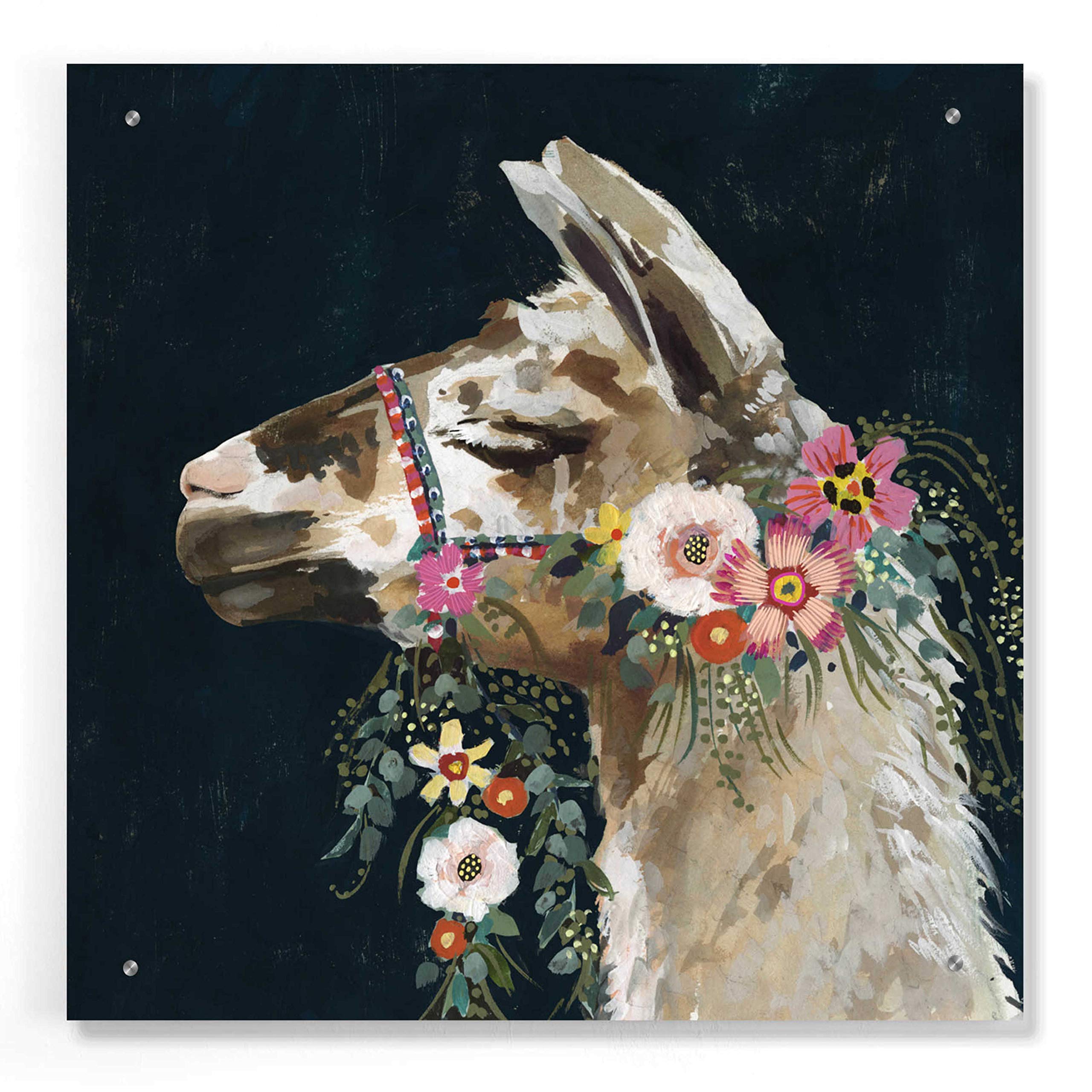 Lovely Llama II Acrylic Glass Wall Art Print by Victoria Borges - 24x24 Inch Modern Home Decor for Living Room, Bedroom & Office