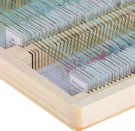 Celestron Prepared Microscope Slides - 100pc Set for Biology & Science Education | Perfect for Students, Teachers & Home Schooling