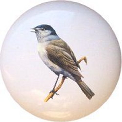 Black-Capped Chickadee Ceramic Drawer Pulls - Vintage Bird Cabinet Knobs for Dresser, Kitchen & Bathroom - Unique Home Decor Hardware for Cabinets & Furniture