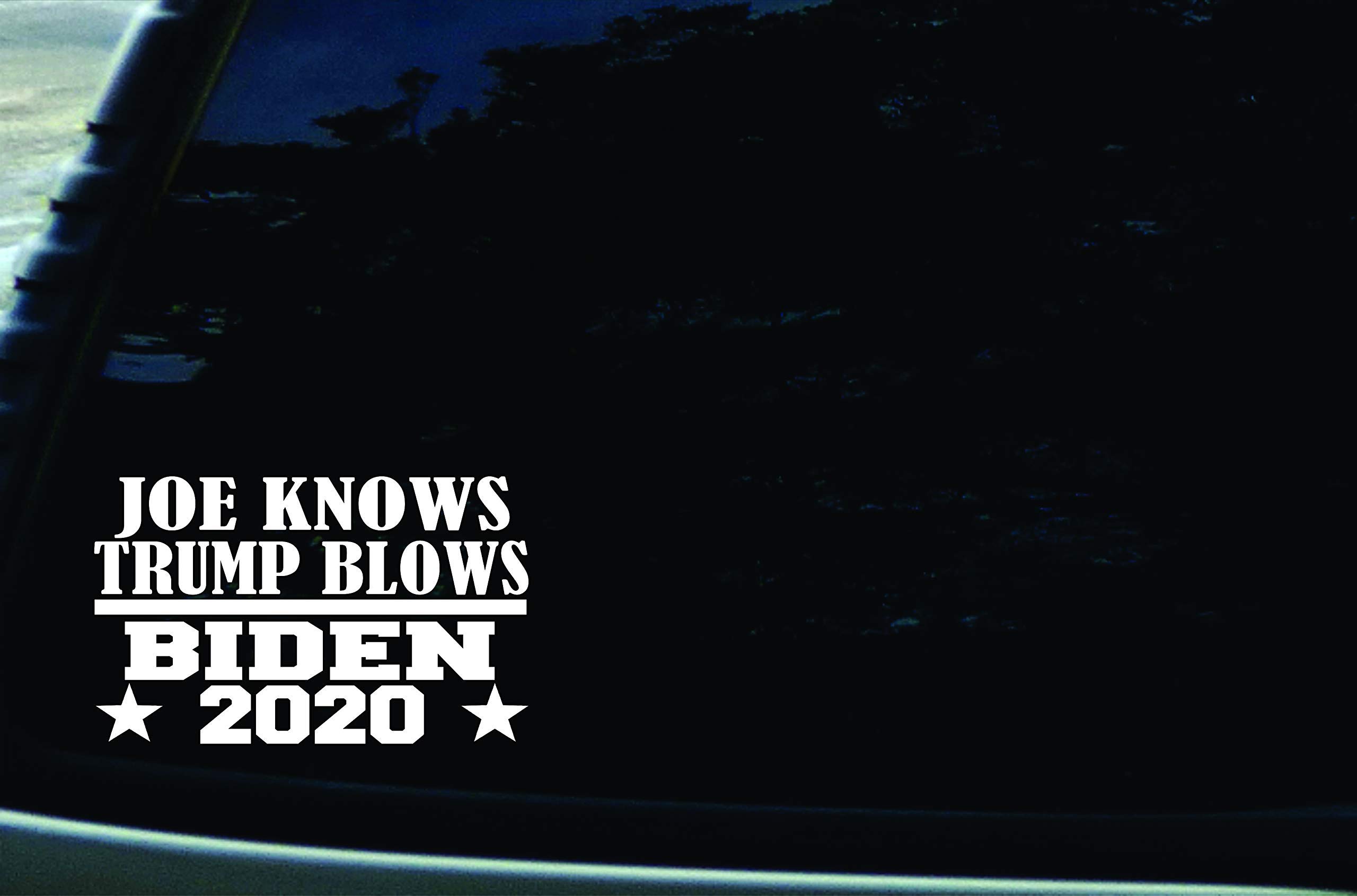 Joe Knows Trump Blows Biden 2024 - 6
