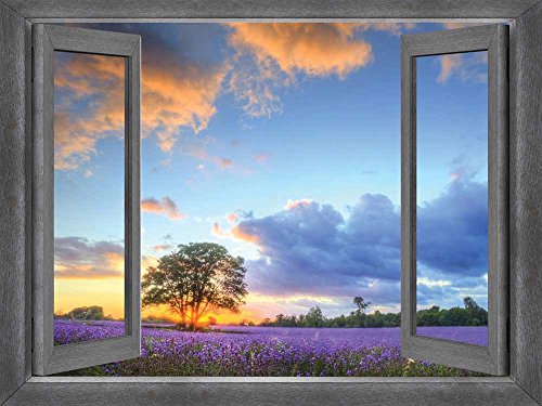 Purple Garden at Sunset