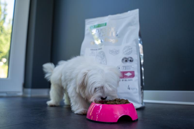 Premium Light Coat Junior Dog Food with White Fish & Rice - All Breeds Small & Medium Puppy Dry Kibble for Healthy Skin & Shiny Coat - Perfect for Sensitive Stomach & Daily Nutrition