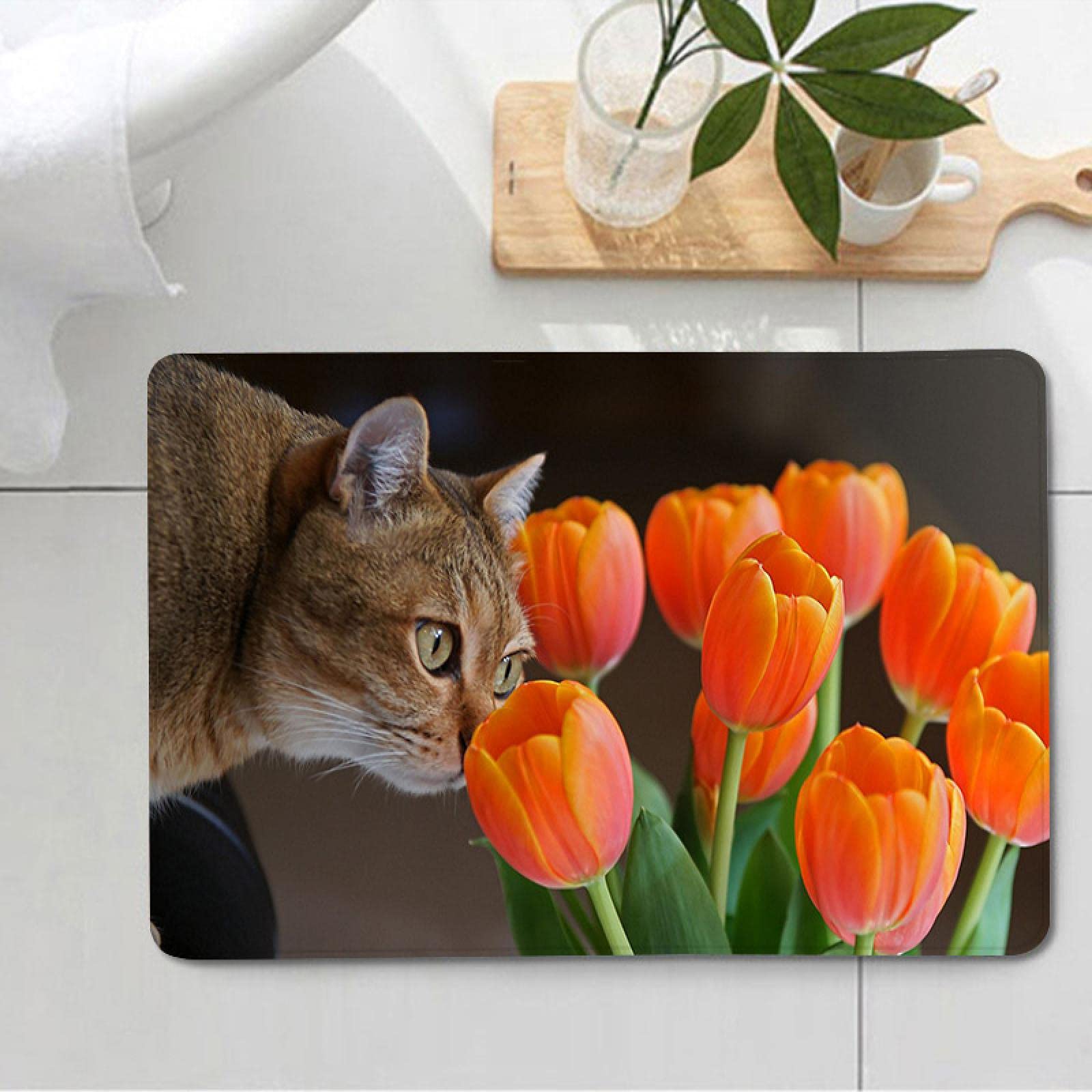 Non-Slip Soft Microfiber Entryway Doormat - Super Absorbent Cat Bathroom Rug for Shower, Bathtub & Kitchen - Cute Waterproof Carpet for Home Decor & Gift Giving (Perfect for Entryways, Bathrooms & Pet Areas)
