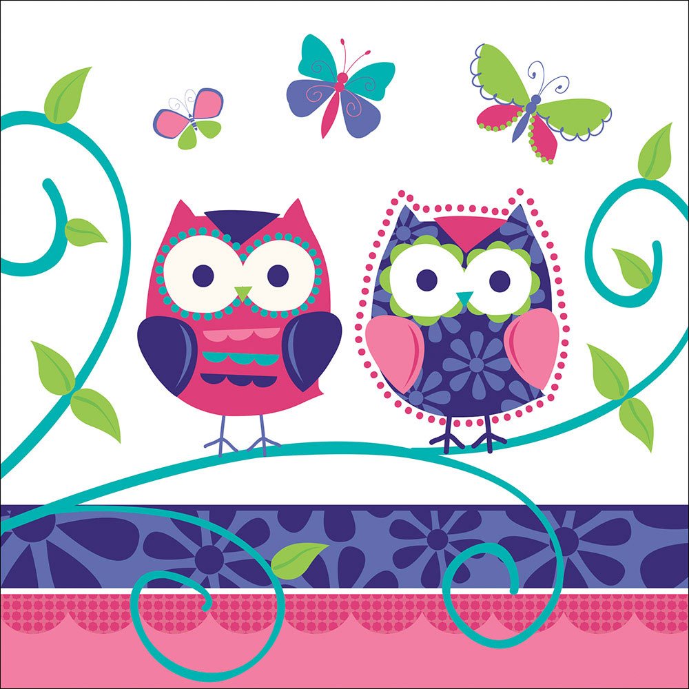16-Count Paper Lunch Napkins with Cute Owl Design - Eco-Friendly Disposable Napkins for Parties, Picnics & School Lunches