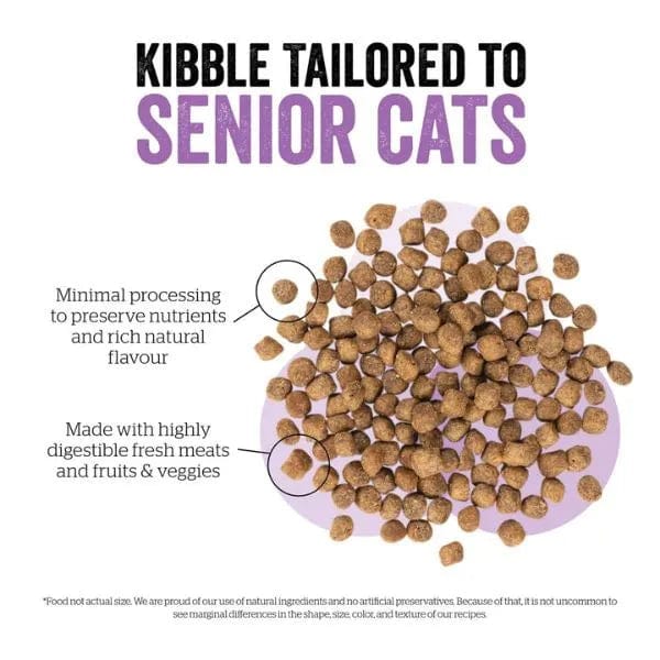Now Fresh Turkey, Salmon & Duck Recipe Senior Dry Cat Food - Grain-Free, High Protein for Mature Cats - Supports Joint Health & Digestion - Perfect for Indoor & Senior Cats