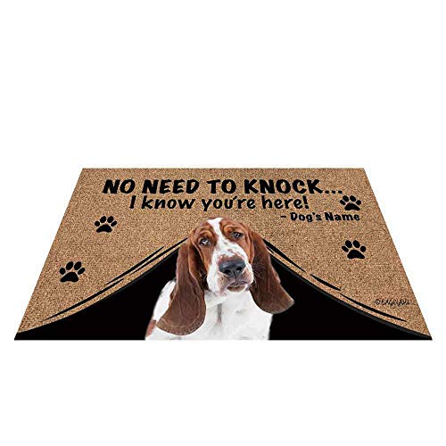 BassetHound