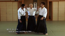 Seishiro Endo's Atari & Musubi DVD - Aikido Training & Martial Arts Techniques for Self-Defense and Spiritual Growth