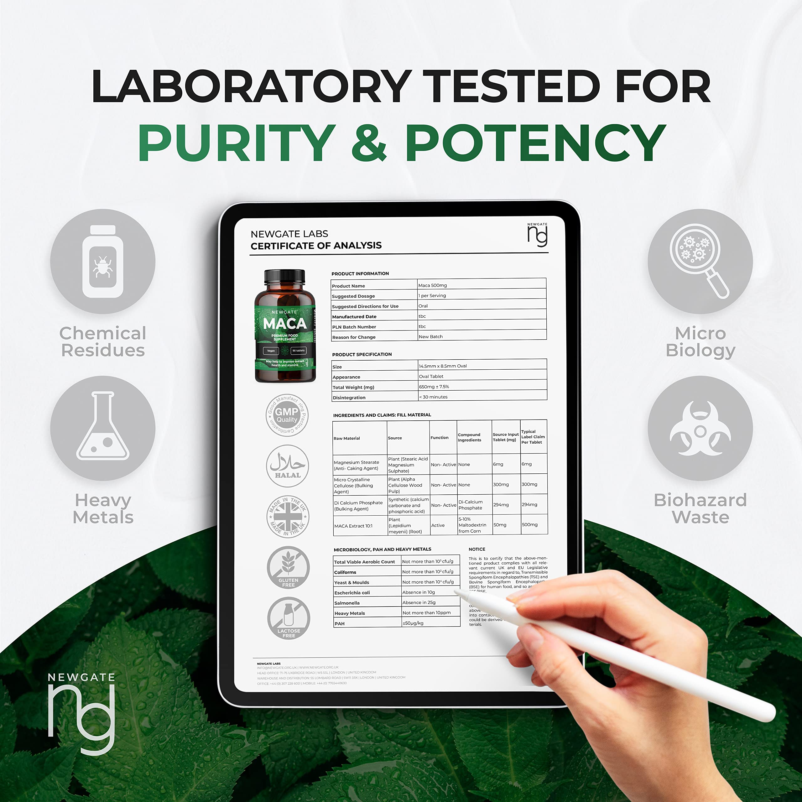 Newgate Labs Maca 90 High Strength Vegan Tablets 50mg | Organic Maca Root 500mg Supplement for Skin Health & Energy Boost | Premium UK-Made Vegan, Halal, GMO-Free Nutritional Support | Ideal for Busy Professionals & Active Lifestyles