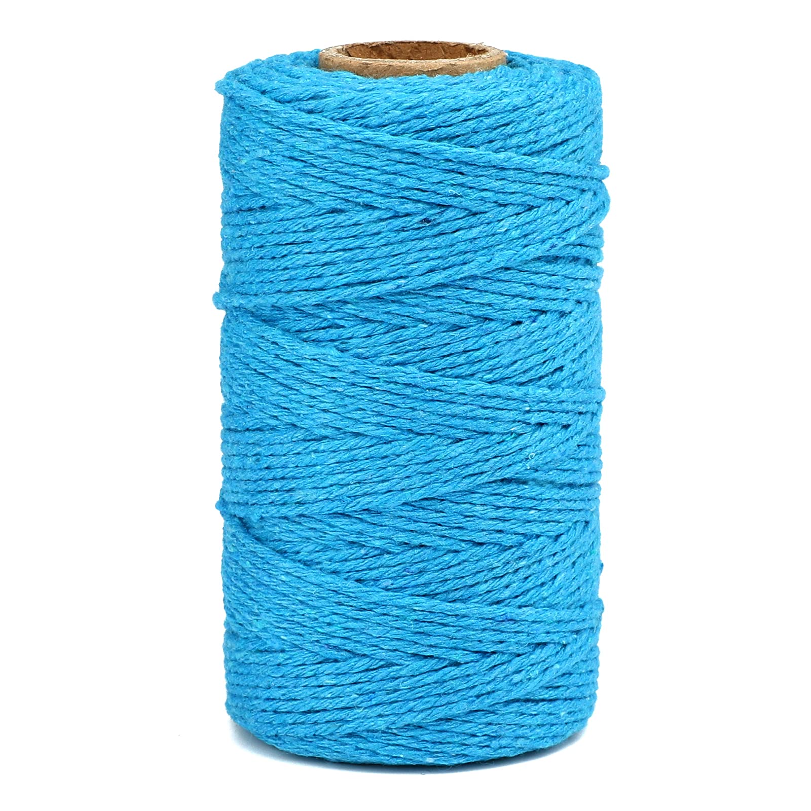 Premium Lake Blue Cotton Craft String - 328 Feet Natural Cotton Bakers Twine (2mm Thick) for Macrame, Gift Wrapping & DIY Projects | Perfect for Christmas Decorations, Arts & Crafts, Gardening Supplies & Home Packaging