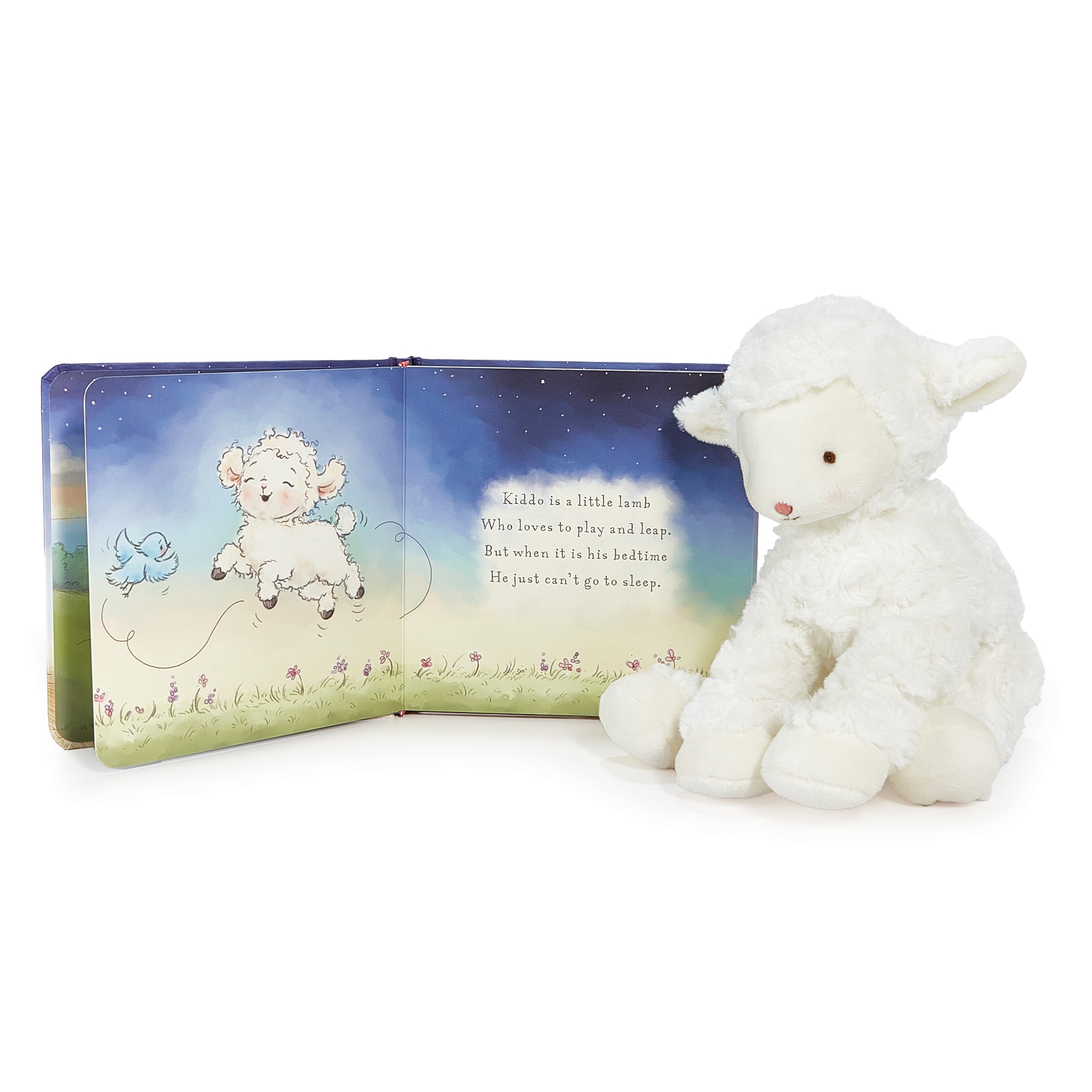Kiddo Book Bundle - Educational Children's Books Set for Early Learning & Reading | Perfect for Bedtime Stories, Classroom Activities & Homeschooling