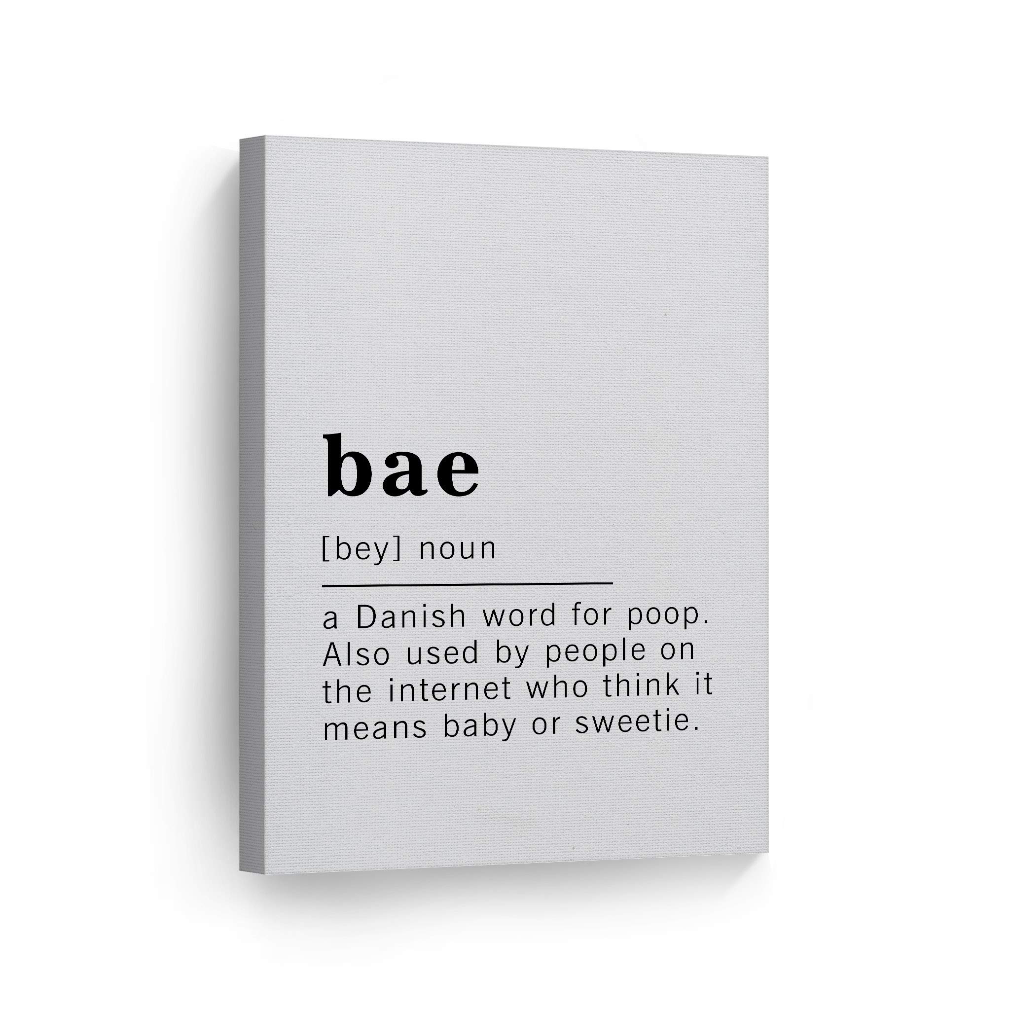 Funny Noun Dictionary Definition of Bae Canvas Print - Inspirational Quote Wall Art for Office, Living Room, Bedroom & Bathroom - Ready to Hang Home Decor (36x24 inches) - Made in USA | Perfect Gift for Couples & Funny Home Decoration