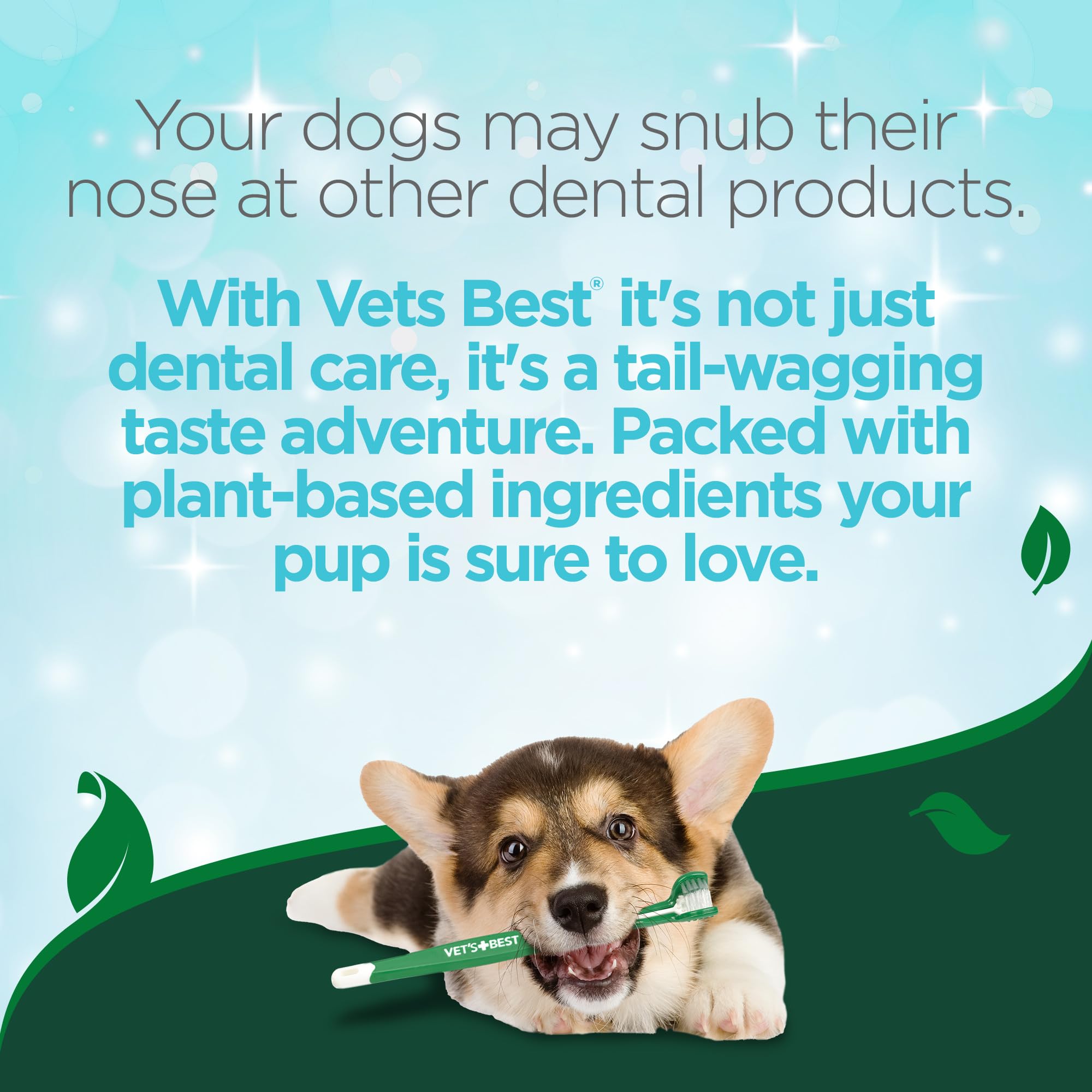 Vet's Best Enzymatic Dog Toothpaste for Teeth Cleaning & Fresh Breath - Vet Formulated Dental Care Gel - 3.5 oz Tubes (12 Pack) - Ideal for Daily Oral Hygiene & Preventing Plaque in Dogs