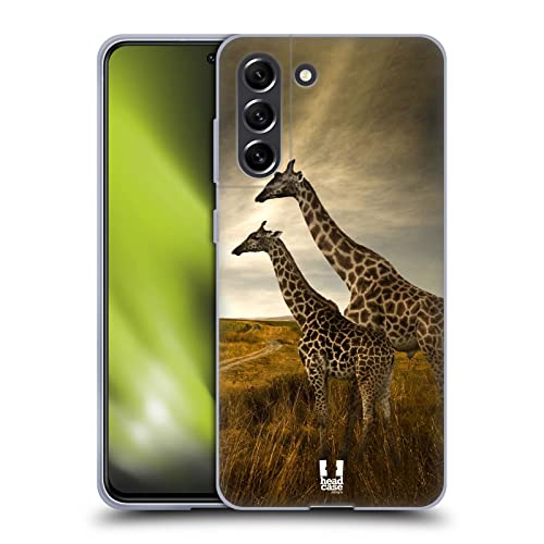 Giraffe Couple And Landscape