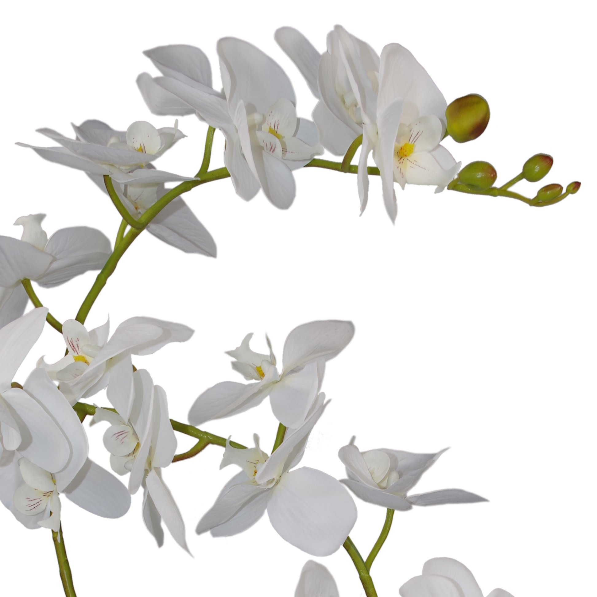 Realistic Artificial Orchid Flower in Pot - White Fake Orchid Plant Decor (65cm) - Home Office Wedding Hotel Decoration