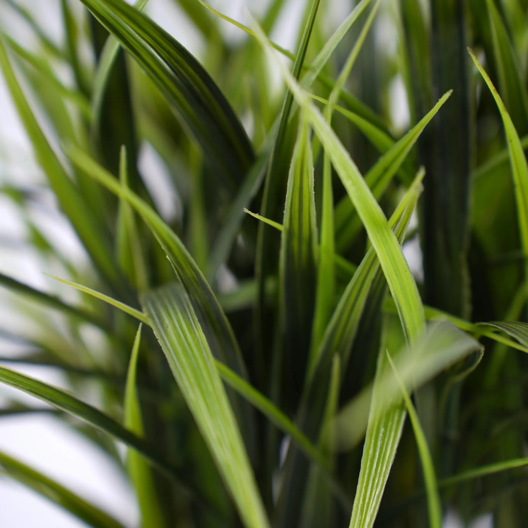 Artificial Grass Plant in Pot - 15