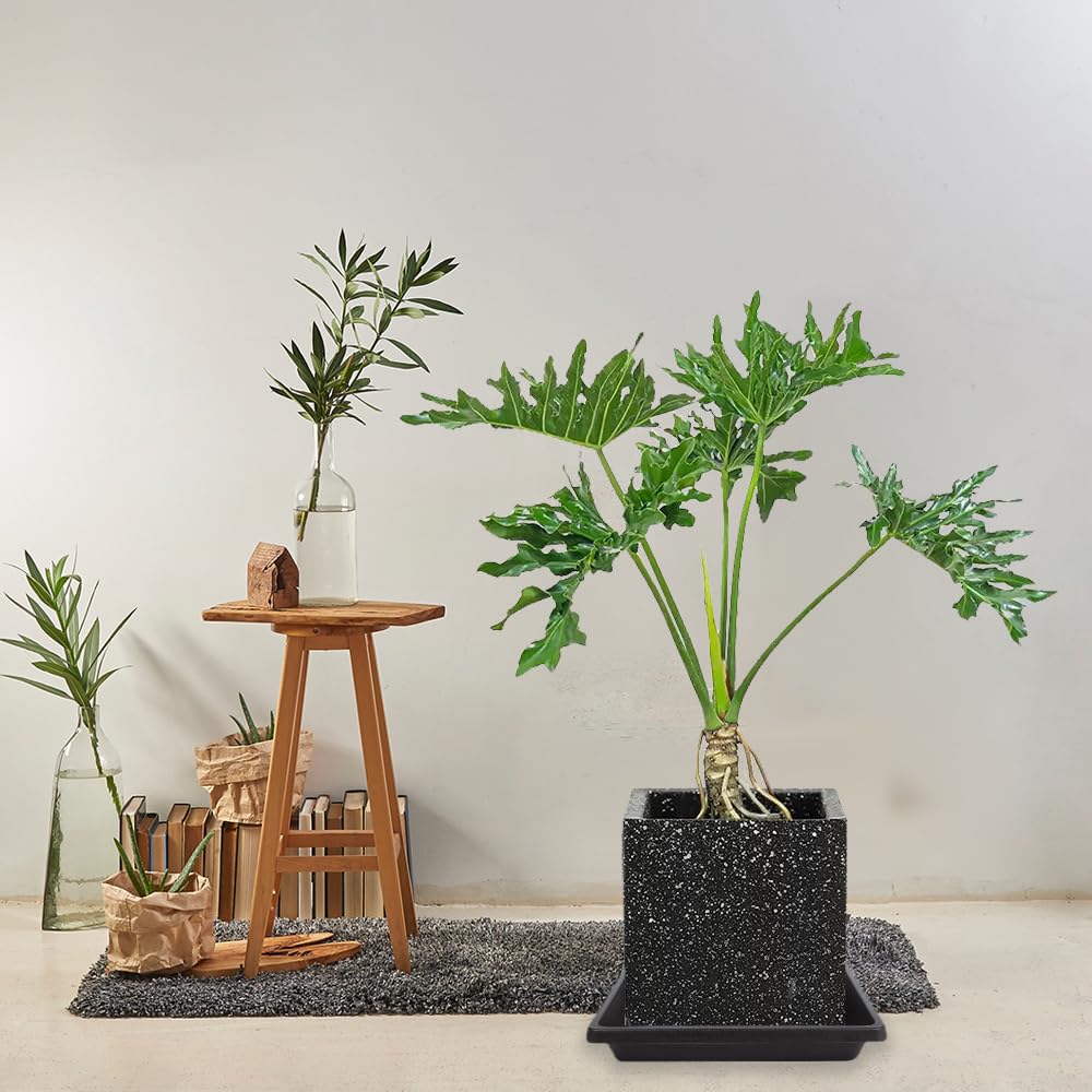 14 Inch Square Plant Saucers 2 Pack - Heavy Duty Plastic Plant Trays for 6-20 Inch Pots - Indoor/Outdoor Drip Trays for Potted Plants - Perfect for Home Garden, Balcony, Patio & Greenhouse Use