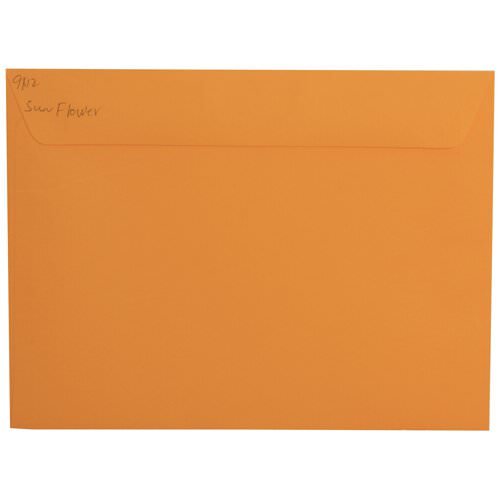 Sunflower Yellow